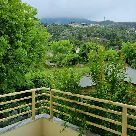Marko * Dhermi